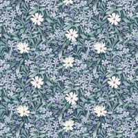 dsSTELLA-DCJ3491 MULTI